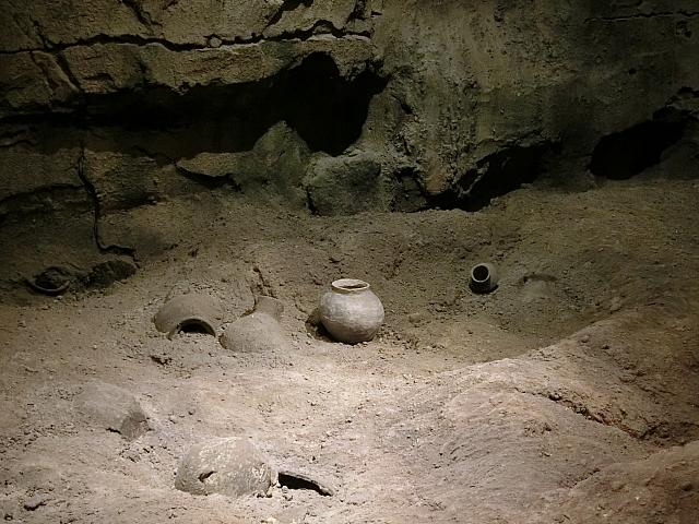 出土した陶磁器や人骨を展示