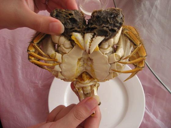 1. ふんどし （腹部の三角の部分） を剥きます。