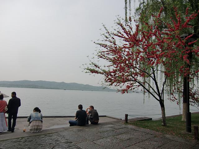 湖畔の様子。