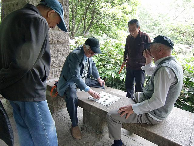 将棋。