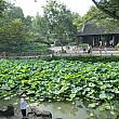 蘇州の拙政園は中国四大名園の一つ。