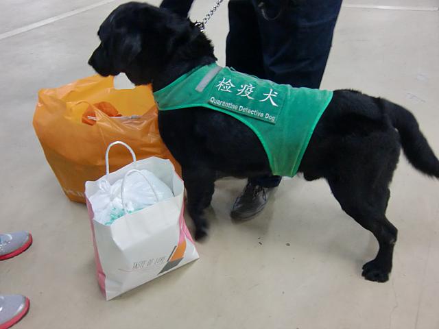 犬による荷物検査があります
