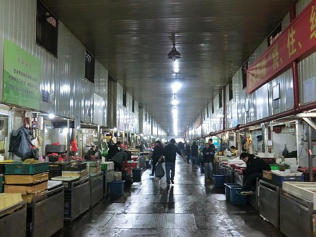 現在の魚市場の様子