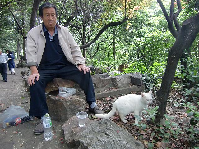 休憩中のおじさんの周りに猫が