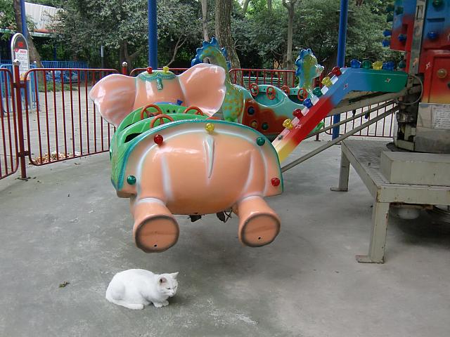 遊具の下にいました