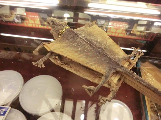 生物系