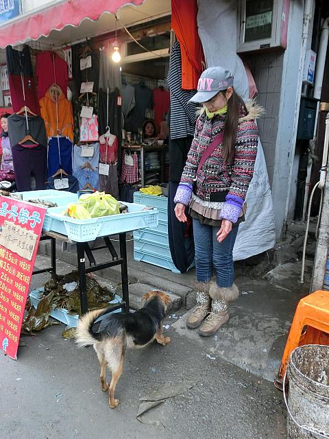 普通の住民の生活を見ることができます