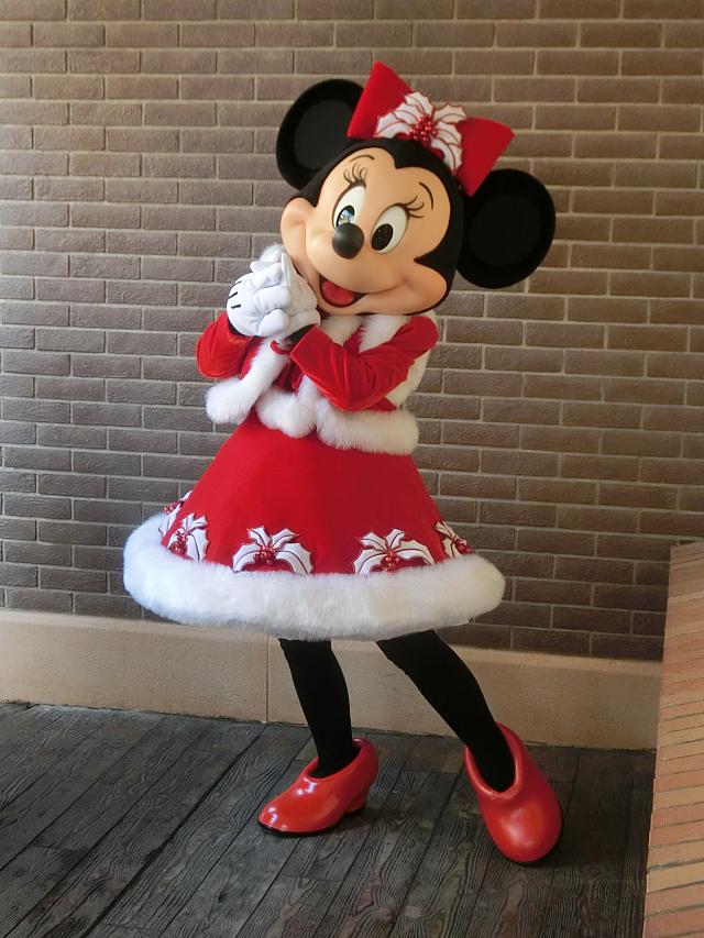 クリスマス衣装で登場〜