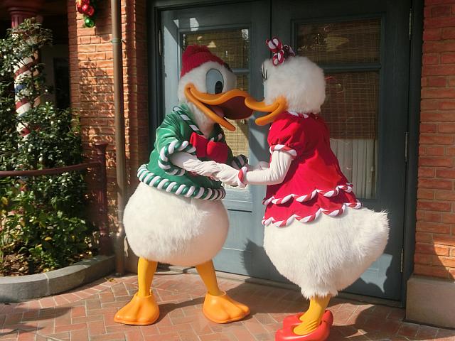 みんなクリスマスの装いです