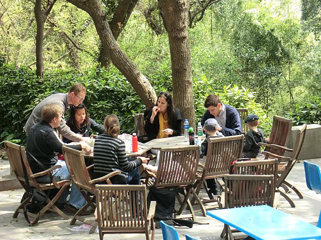 ピクニックに来ている在住外国人も