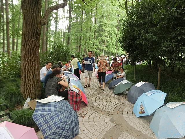 親婚活コーナー