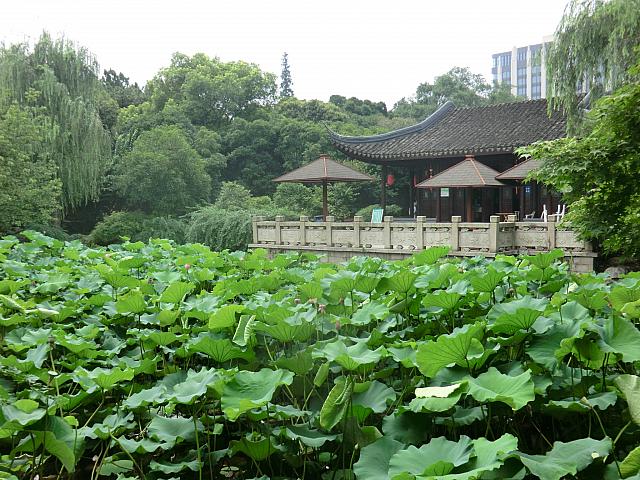 元邸宅とは思えない広さ