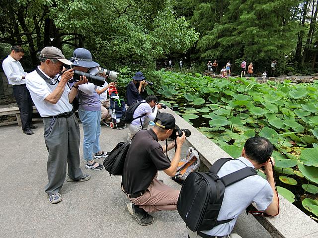ハスの花まつりにはカメラマンが集結