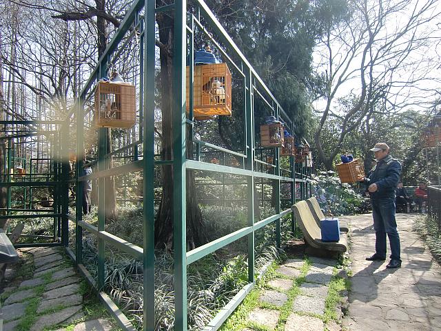 鳥かご持参コーナー