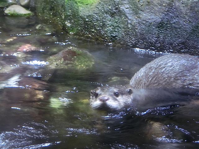 水族館もあるよ