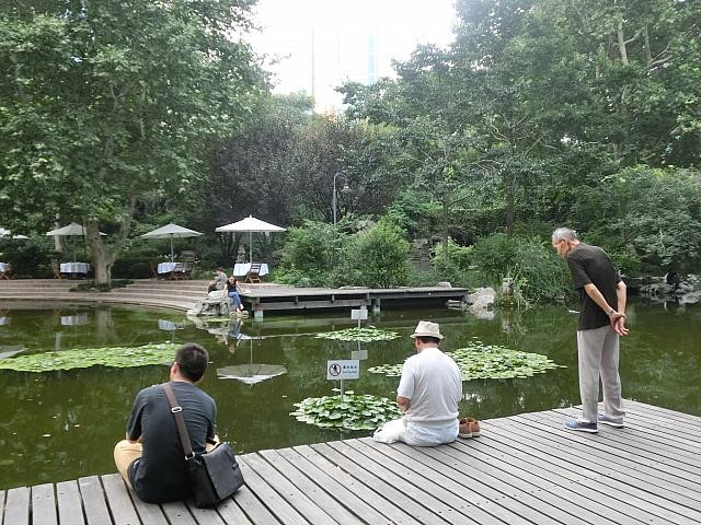 都会のオアシス的公園