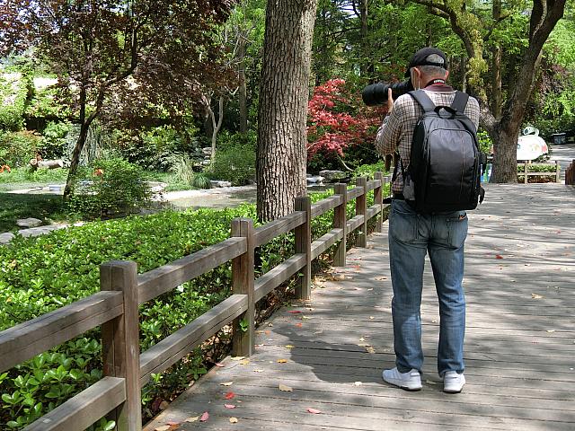 中高年カメラ愛好家が増加中