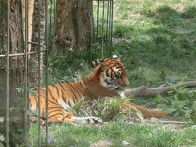 くつろいでいました