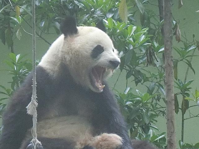 いろいろな表情を見せてくれます