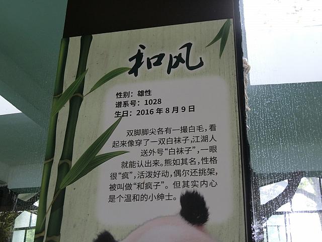 和風（わふう）のプロフです