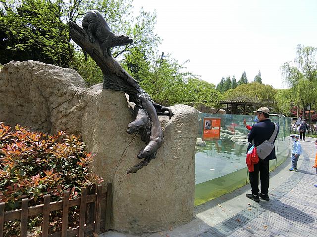 屋外に広いプールがあります。近い!