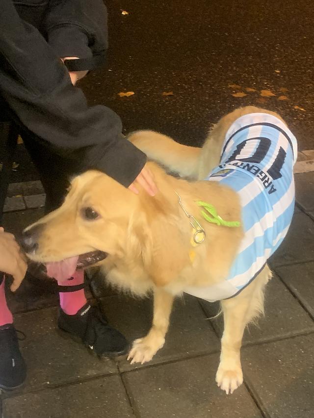 テラス席なら犬もいっしょに観戦OK
