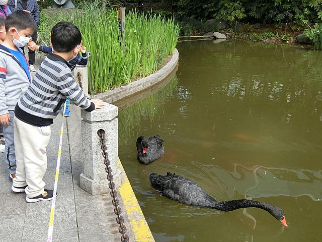 上着なしでもOKの暖かさに