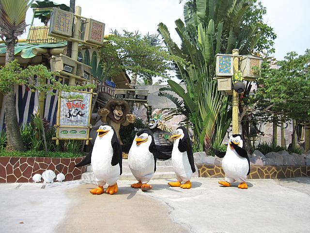 ペンギンのふりふりダンスはとても可愛いです！