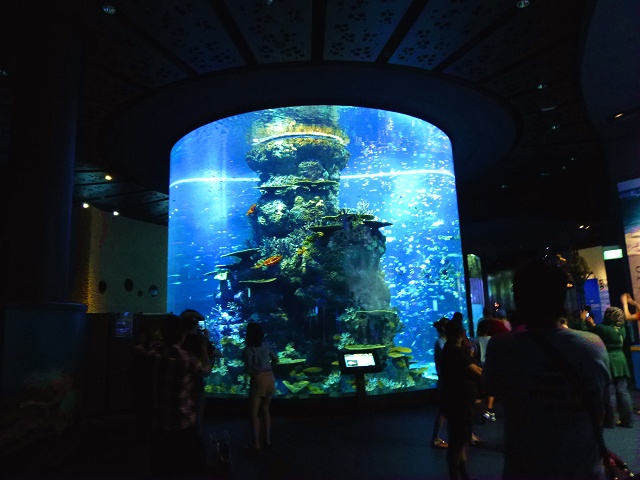 熱帯魚の水槽