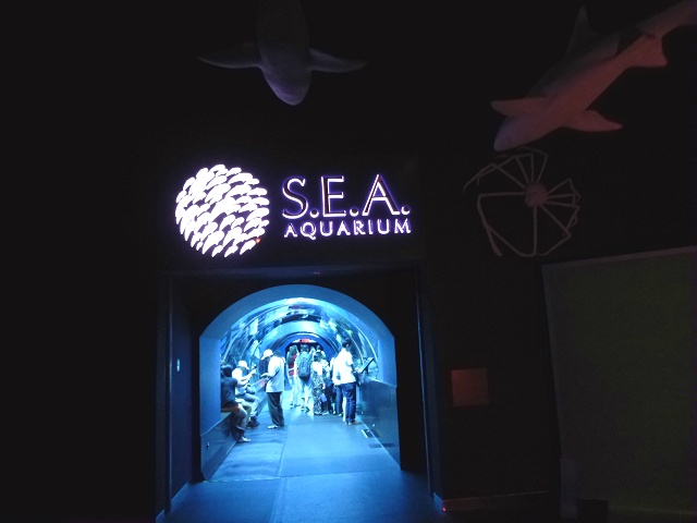 シー・アクアリウムの入口