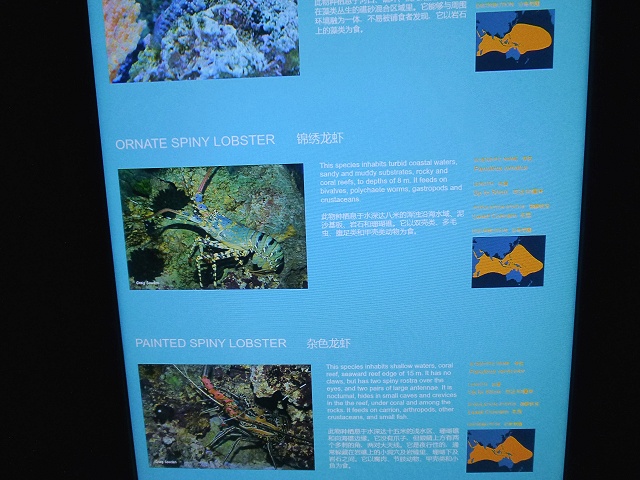 展示している生物について解説する案内板