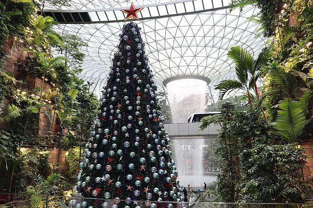 空港に隣接するジュエルのクリスマスツリー