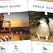 ナビゾーのペンギンツアー体験 in Melbourne メルボルン ペンギンツアー