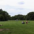 ライカートにあるホーソン・カナル・リザーブ（公園）。愛犬をリードなしで遊ばせることができる犬の広場があります。