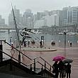 雨のシドニー旅行の過ごし方 雨のシドニー観光室内観光