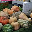 今が旬の野菜といえばかぼちゃ!　いろいろな種類がありますね～