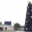 日本だと日本だとクリスマスが終わったらすぐにお正月モードに切り替わるのでしょうが、オーストラリアはまだクリスマスツリーがドーンと出たまま。あれれ？