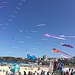 ボンダイジャンクションの駅からビーチまで道路が渋滞するほどの人気イベントで「凧というよりバルーンでは？」というような巨大なものから手のひらサイズのミニミニ凧まで多数の凧が青空を彩る様はまさに圧巻！