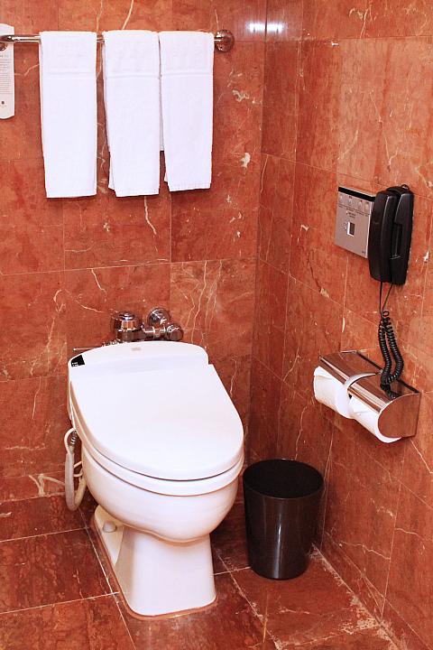 トイレはもちろんウォシュレット