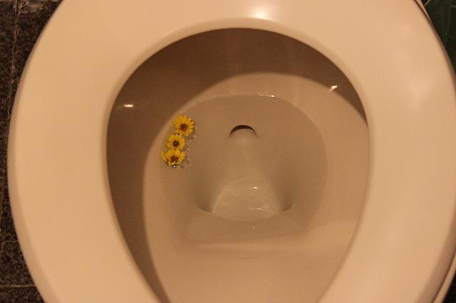 黄色いお花…
