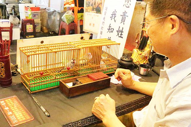 先生が文鳥に占う内容を伝え、文鳥がカードを全部で3枚選びます。