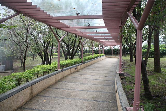 欧風館から和風館への通路の両側は桜並木