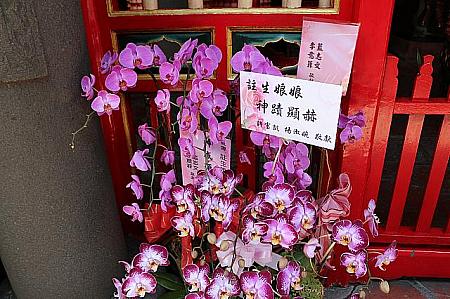 出産後のお礼参りで送られた蘭の花がたくさん並んでいます。