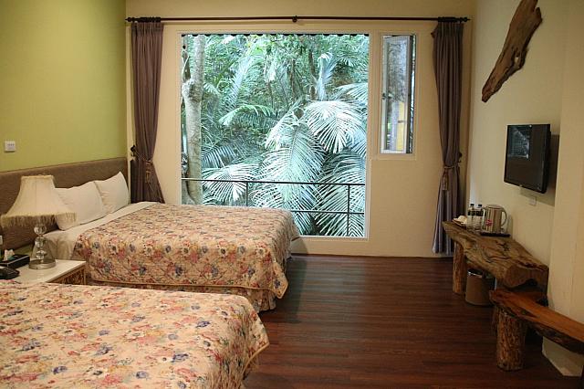 部屋に入ると緑がまぶしい！朝はもっとすてきでした