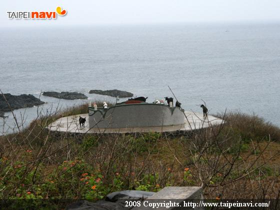 お墓には常に黒山羊さんがいます