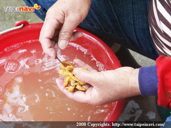 うにを洗ってます