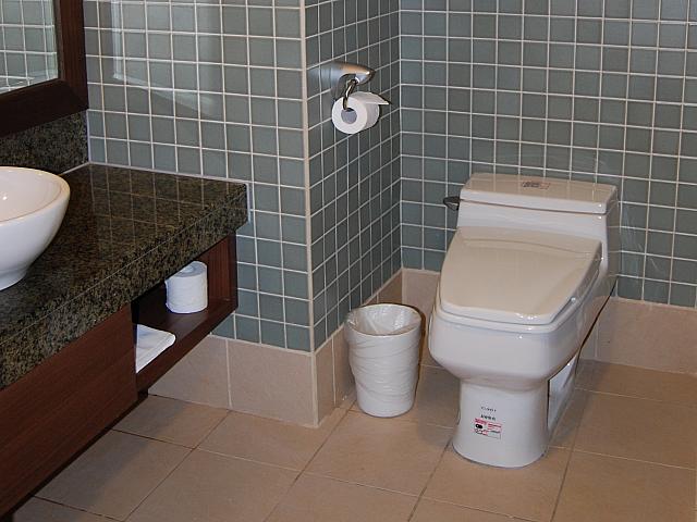 トイレの形にもこだわりあり