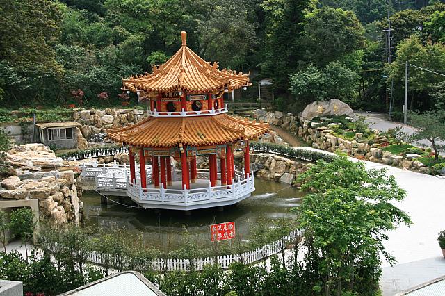 駅脇の池