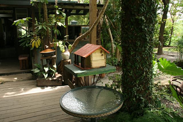 鳥小屋の向こうが食器洗いの場所