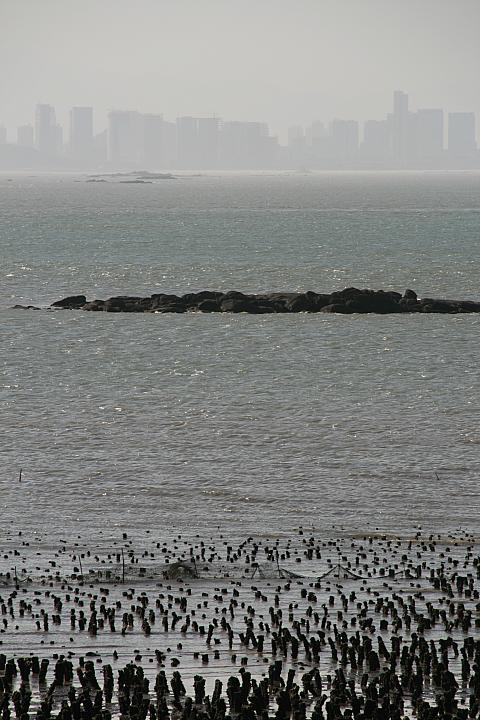 牡蠣の養殖地の向こうにアモイが見えます